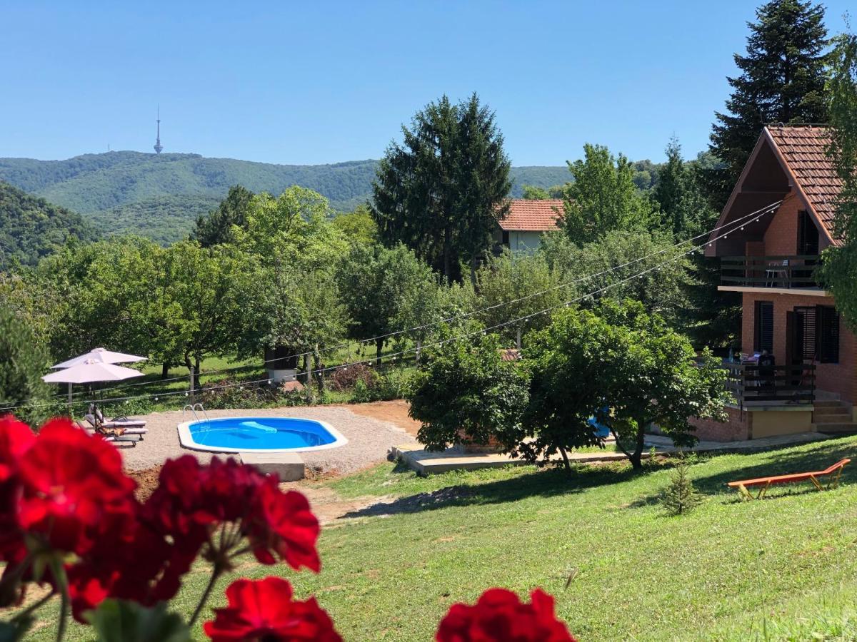 Вилла Fruska Pool House Sremska Kamenica Экстерьер фото
