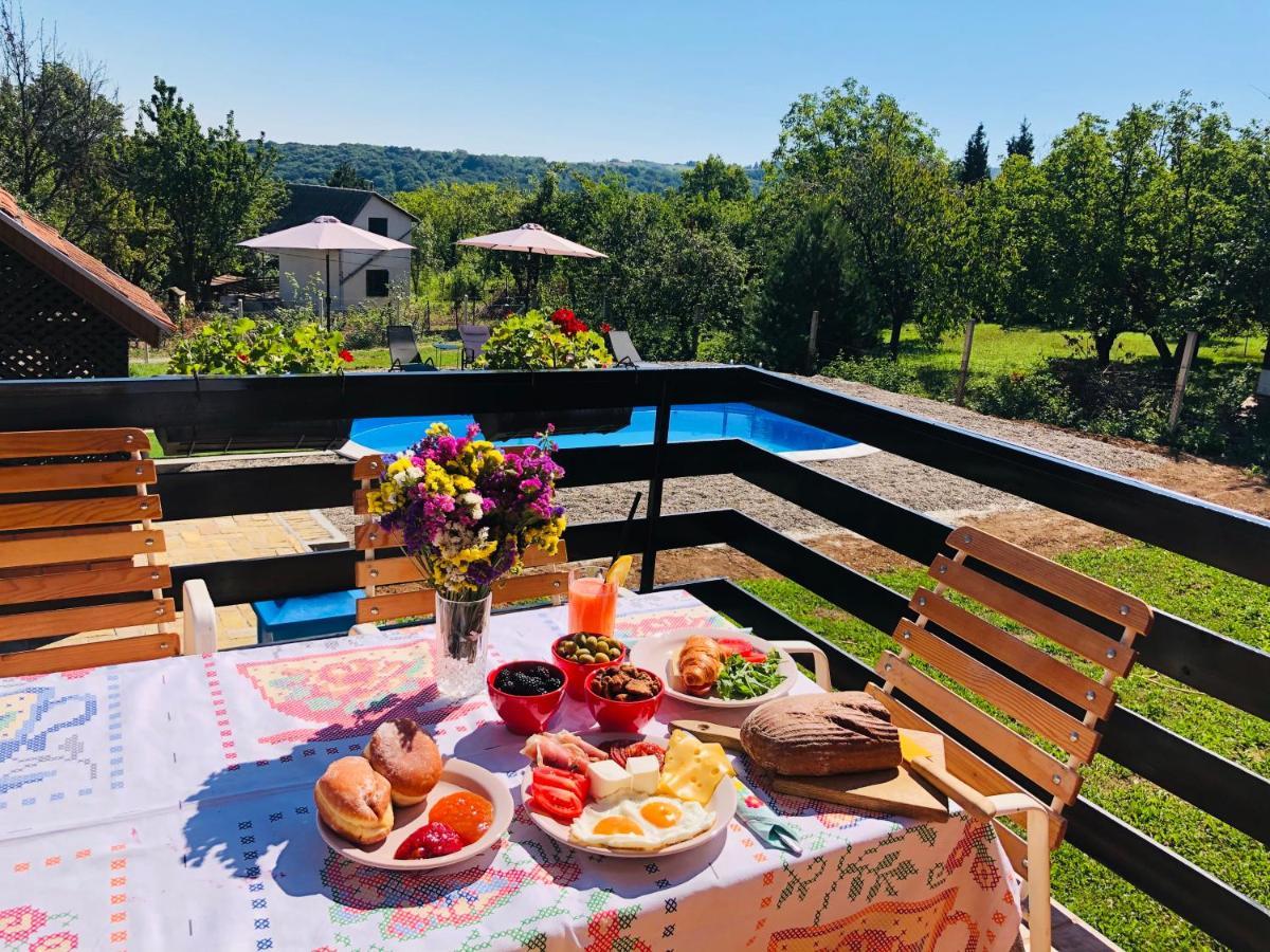Вилла Fruska Pool House Sremska Kamenica Экстерьер фото