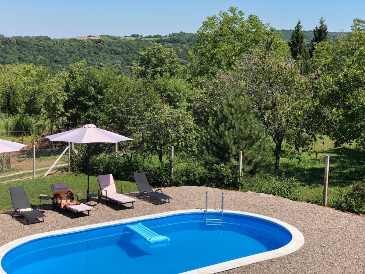 Вилла Fruska Pool House Sremska Kamenica Экстерьер фото