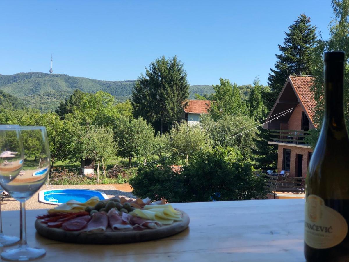 Вилла Fruska Pool House Sremska Kamenica Экстерьер фото