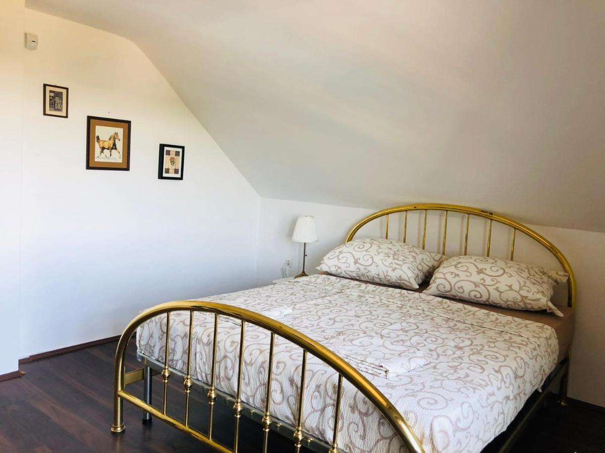 Вилла Fruska Pool House Sremska Kamenica Экстерьер фото