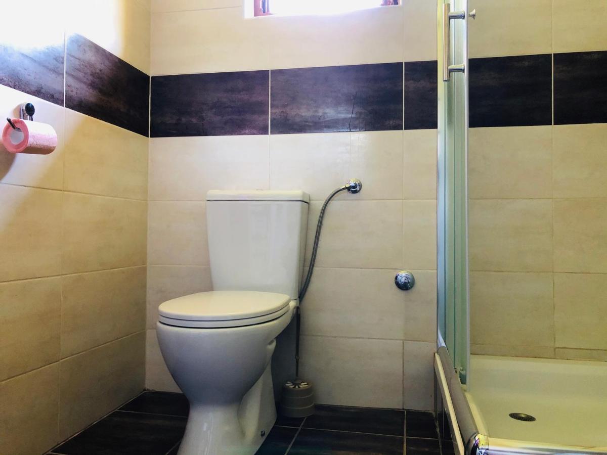 Вилла Fruska Pool House Sremska Kamenica Экстерьер фото