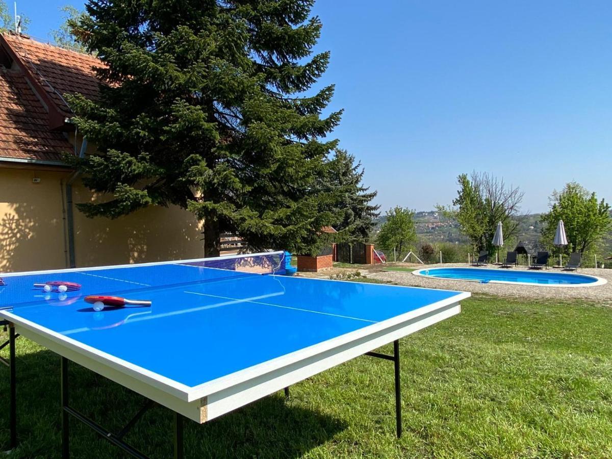 Вилла Fruska Pool House Sremska Kamenica Экстерьер фото