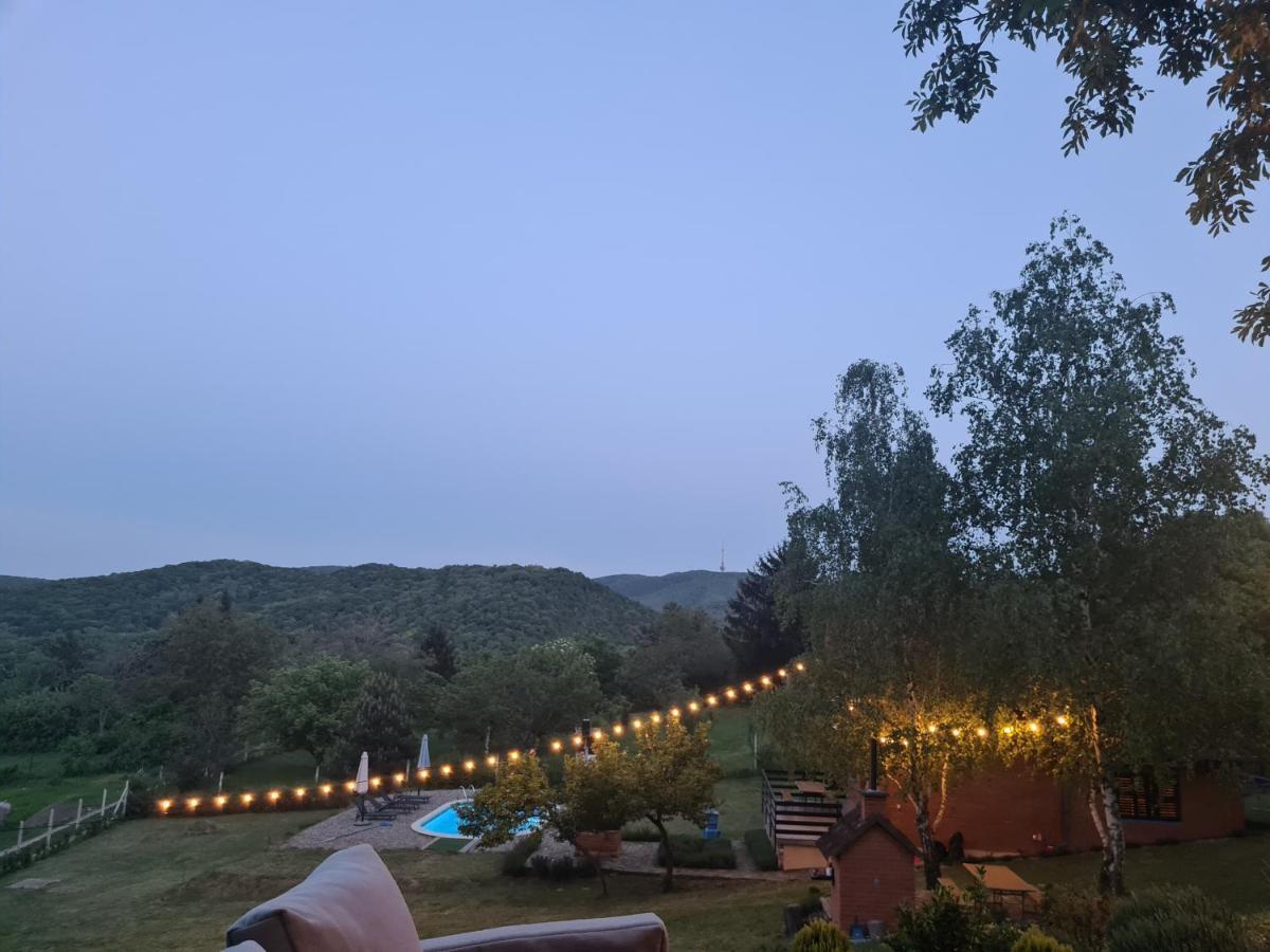 Вилла Fruska Pool House Sremska Kamenica Экстерьер фото