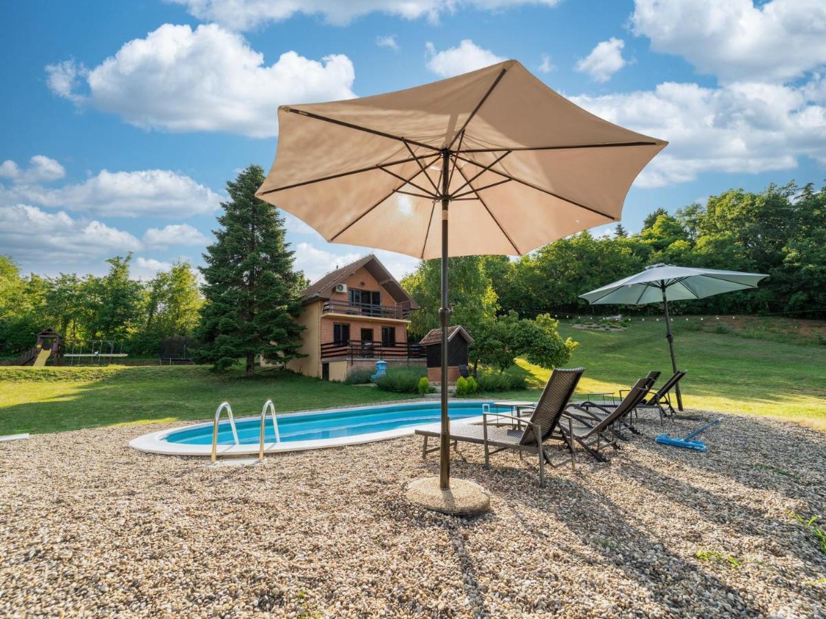 Вилла Fruska Pool House Sremska Kamenica Экстерьер фото