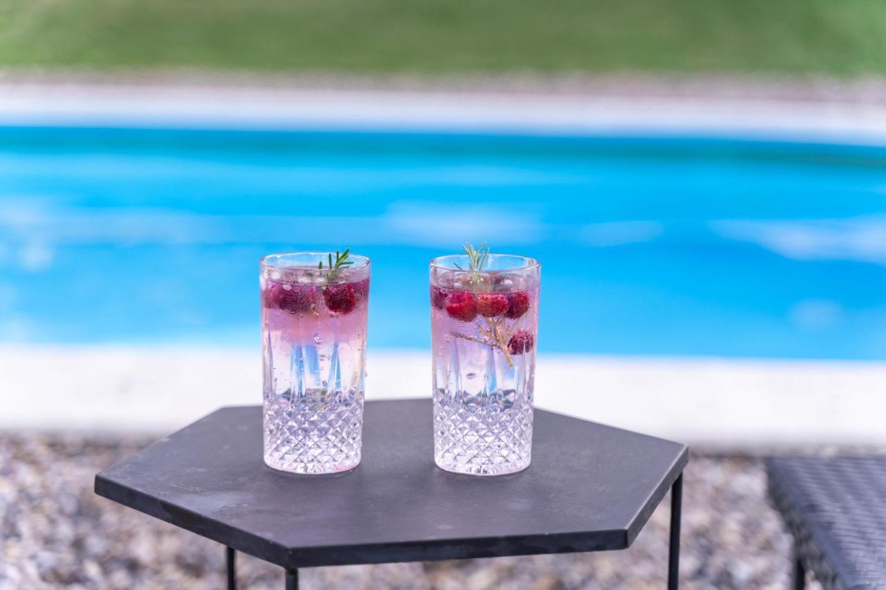 Вилла Fruska Pool House Sremska Kamenica Экстерьер фото