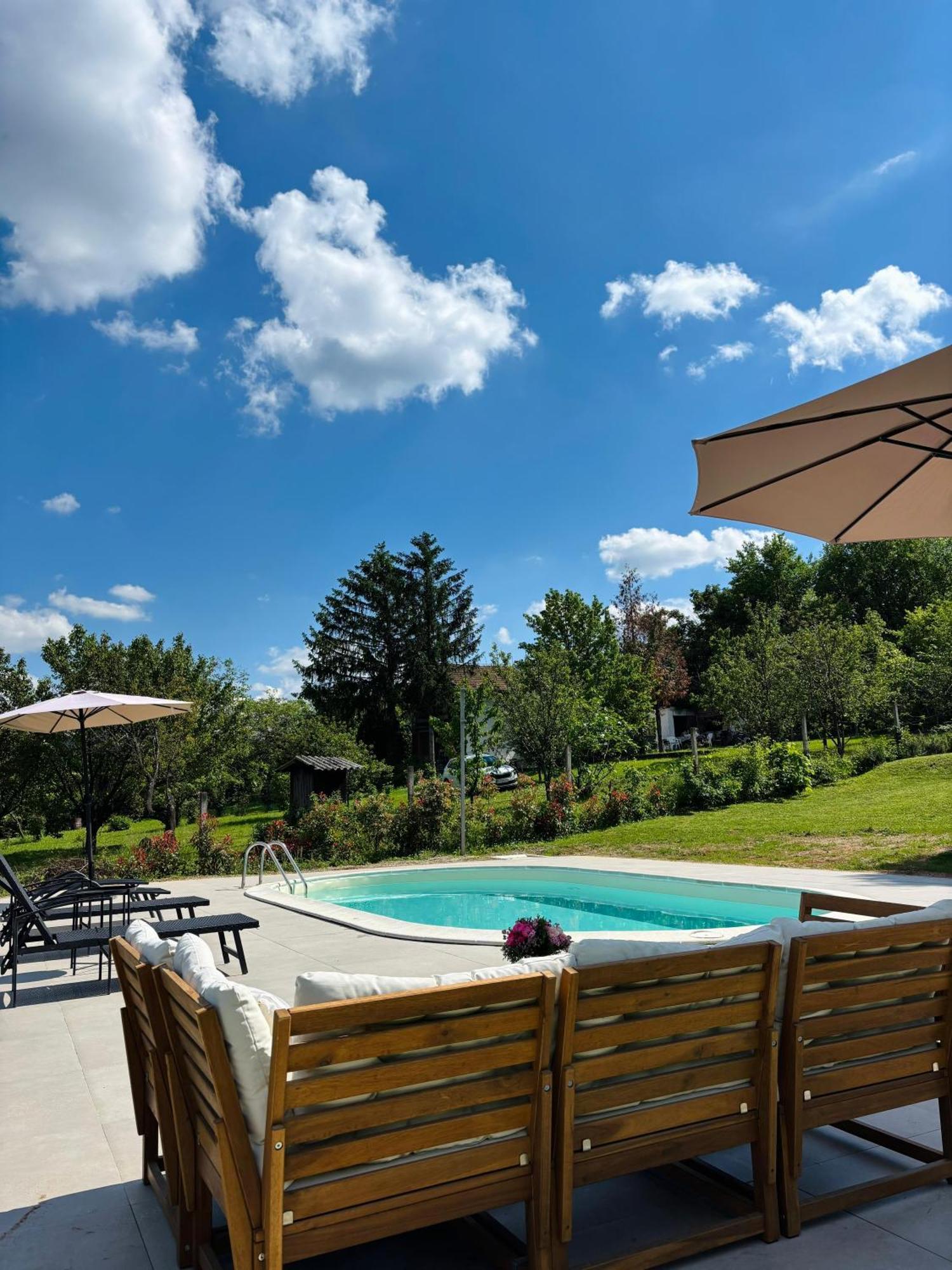 Вилла Fruska Pool House Sremska Kamenica Экстерьер фото